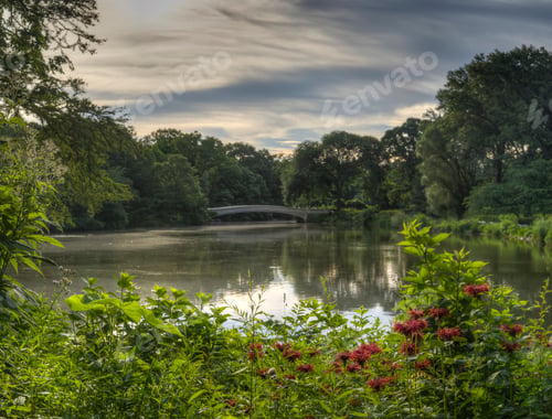 Preview: Central Park, New York City Bow Bridge On Cloudy Day
