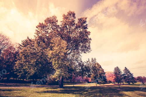 Preview: Autumn