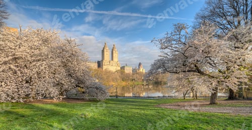 Preview: Spring In Central Park, New York City
