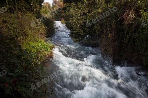 Preview: The River In Tel Dan Park, Israel