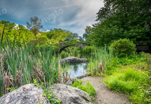 Preview: Gapstow Bridge In Central Park In Spring Early In Morning