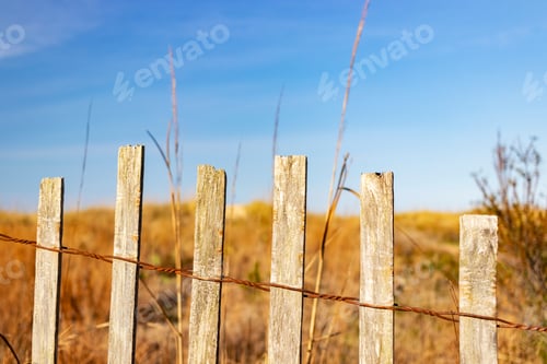 Preview: Wooden Dune Fence Against A Blue Sky On A Clear Sunny Day