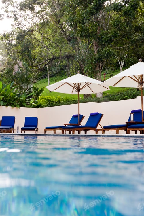 Preview: Beautiful Tropical Swimming Pool In The Rain Forest Of Belize