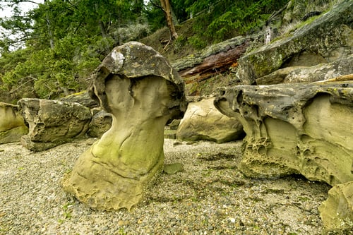 Preview: Beautiful Mushroom Rocks In Galiano Island 3, Gulf Islands National Park, Canada
