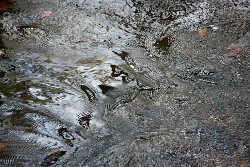 Preview: Cascading Stream Over And Around Rocks
