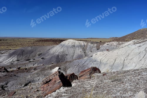 Preview: Scenic Desert Landscape In The Petrified Forest.