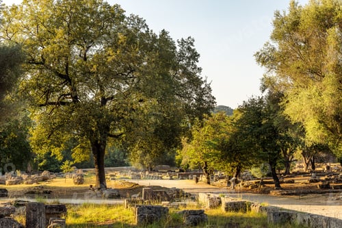Preview: Serene Views At Ancient Archelogical Site Olympia, Greece