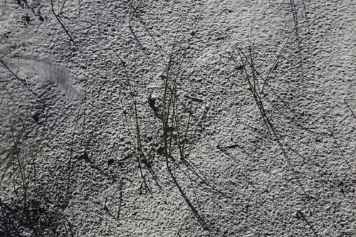 Preview: Abstract Of Sand And Grass Growing In It, For Background