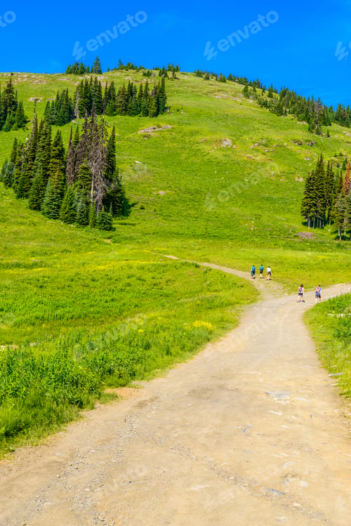 Preview: Beautiful Landscape Of Valley In Alpine Mountains, Small Trail, Hike Root, Majestic Picturesque