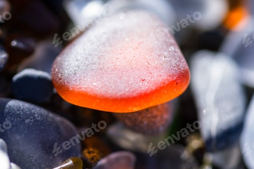 Preview: Macro Of A Colorful Group Of Sea Glass Pieces Under Bright Sunshine