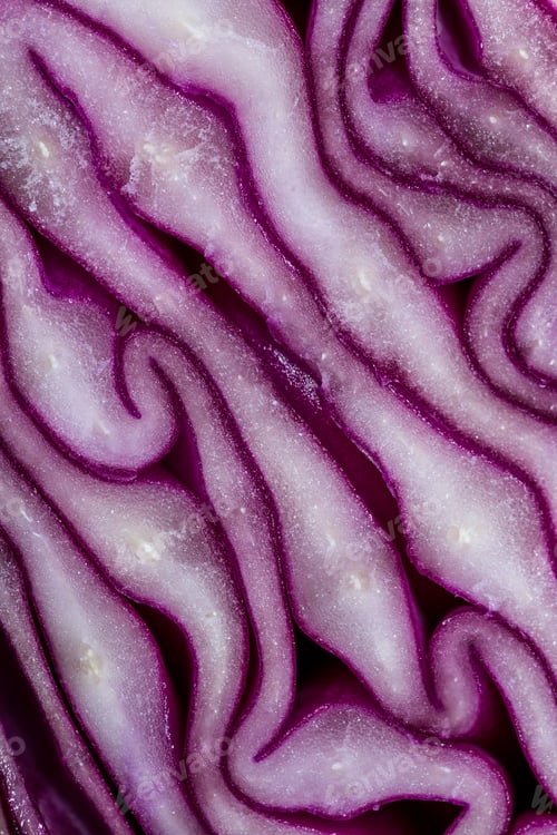 Preview: Closeup Of A Sliced Head Of Purple Cabbage With An Interesting Pattern