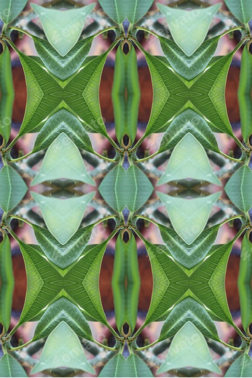 Preview: An Abstract Of Fresh Green Plumeria Rubra Leaves 0048