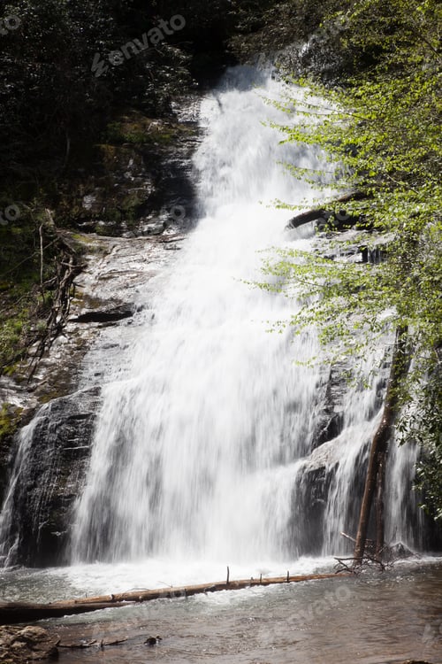 Preview: Waterfall With Green Trees Beside It