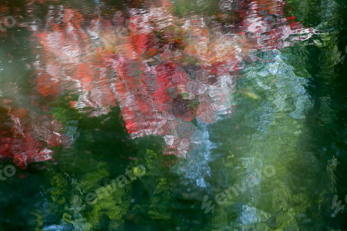 Preview: Abstract Of Lake Reflecting Flowers