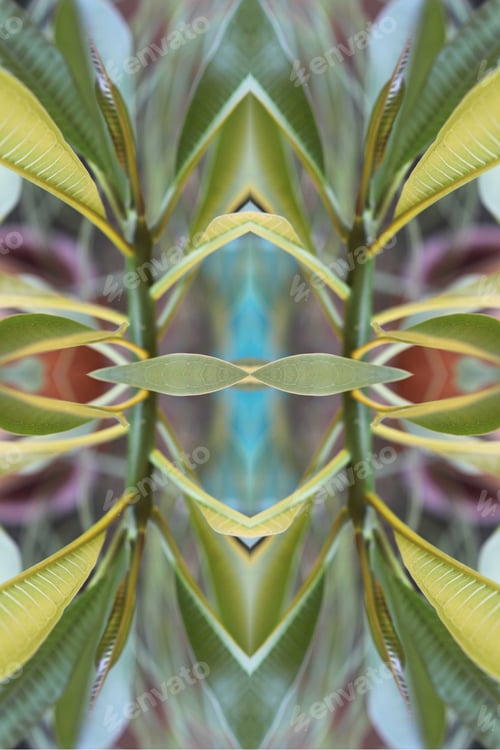 Preview: An Abstract Of Fresh Green Plumeria Rubra Leaves 0043