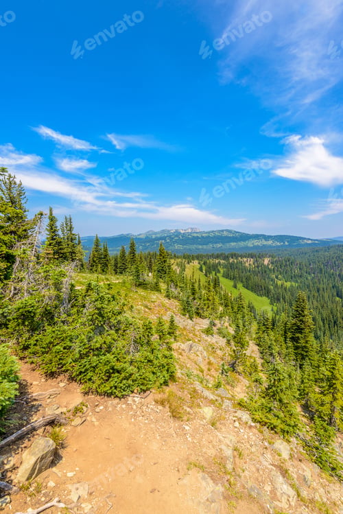 Preview: Beautiful Mountain Trail. Blackwall Peak Trail At Manning Park In British Columbia. Canada.