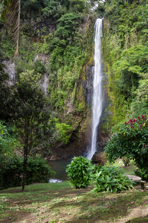 Preview: Beautiful Pristine Waterfall In The Rainforest Of Costa Rica