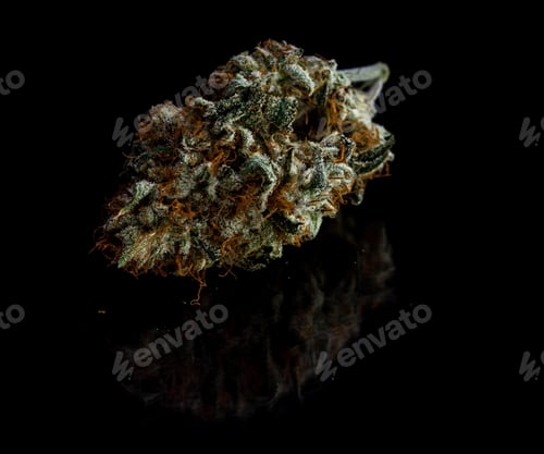 Preview: Close Up Of A Cut And Trimmed Bud Of Marijuana On A Black Reflective Surface