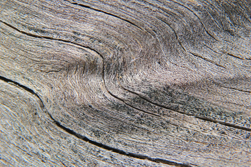 Preview: Hardwood Grey - Textured Background Of Wood - Curve Of Color And Contrast
