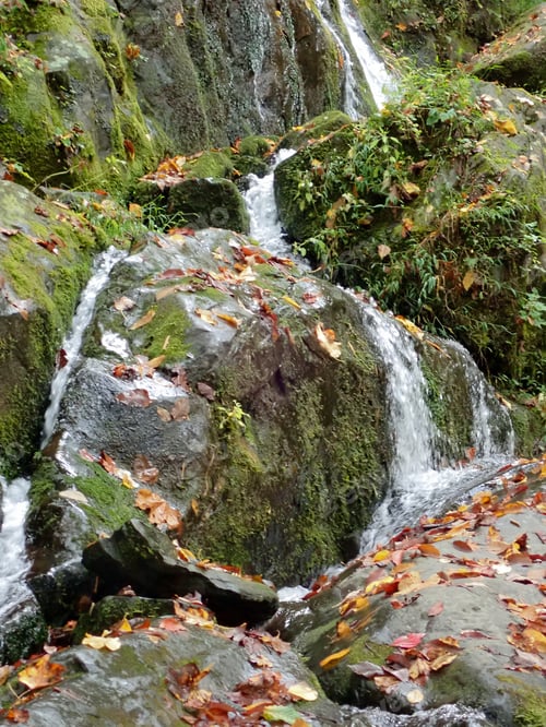 Preview: Stream Cascading In The Mountains