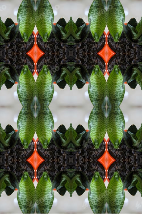Preview: A Sansiveria House Plant Abstract With A Bright Orange Glazed Pot 0315