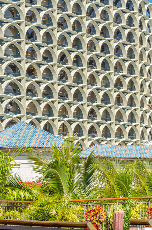 Preview: Palm Trees And Building Tops In Honolulu, Hawaii, Usa. Tropical City Vacation Background.
