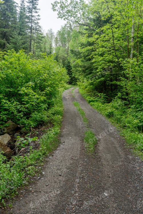 Preview: Contryside Ontario Canada Nature Trail To Forest