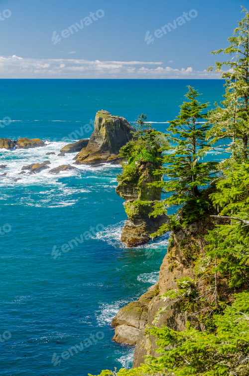 Preview: Fragment Of Ocean View From Soleduck Trail In Olympics Park, Washington, Usa