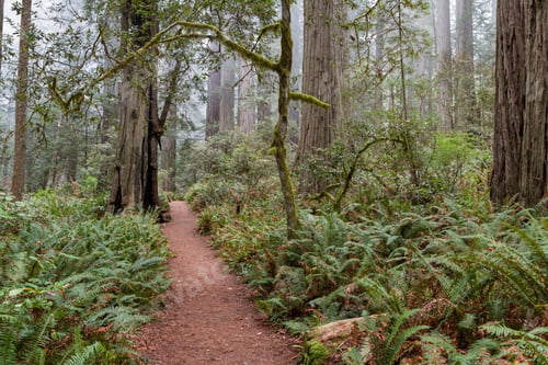 Preview: Beautiful Park In Northern California With Hiking Trails In A Natural Prehistoric Looking Landscape