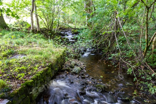 Preview: Tranquil Creek Flowing Thru The Eastern Scottish Highlands Near Killiecrankie