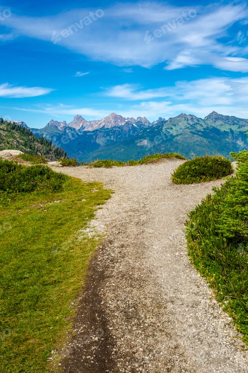 Preview: Beautiful Mountain Artist Ridge Trail Park. Mount Baker, Washington, Usa.