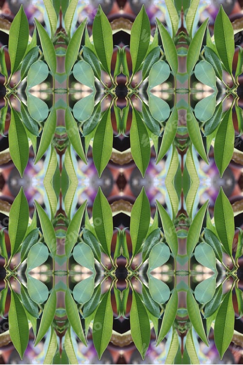 Preview: An Abstract Of Fresh Green Plumeria Rubra Leaves 0053