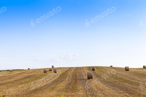 Preview: American Countryside Landscape With Bundles Of Hay