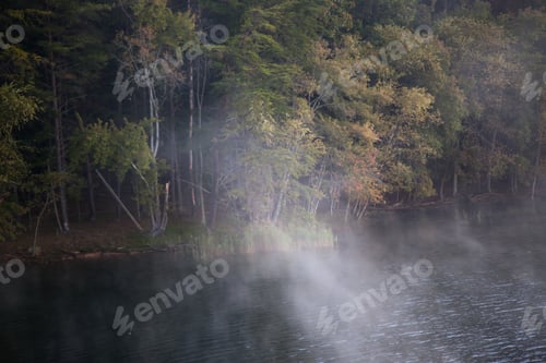 Preview: Early Morning Mist On A Quiet Lake Reflecting Trees