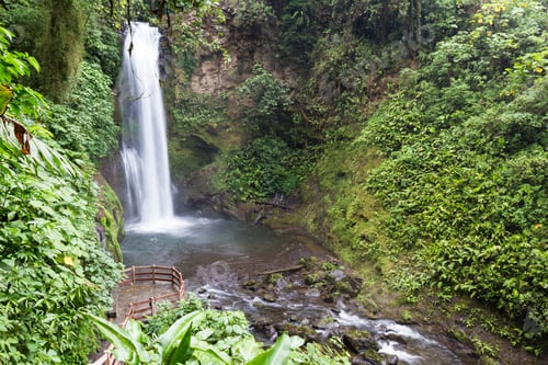 Preview: Beautiful Waterfall In A Tropical Rain Forest In Central Costa Rica