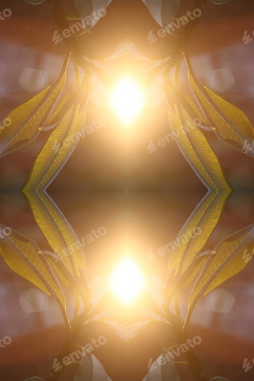 Vista previa: Resumen de una planta de Plumeria Rubria con hojas verdes exuberantes 0817