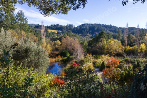 Aperçu: Beautiful Garden Landscaped With A Variety Of Plants And Trees In Different Autumn Colors With A