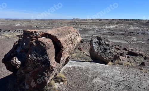 Preview: Beautiful Landscape In The Petrified National Forest In Arizona.
