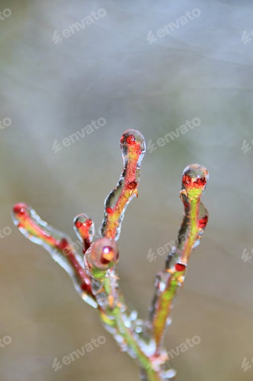 Preview: Icicle Background - Winter Season Icon - Colorful Natural Creation Of Ice