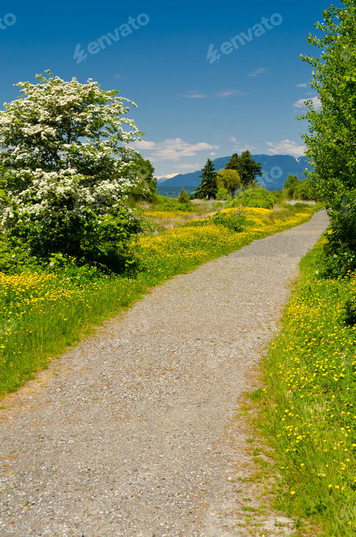 Preview: Fragment Of West Dyke Trail In Terra Nova Rural Park, Vancouver, Canada.