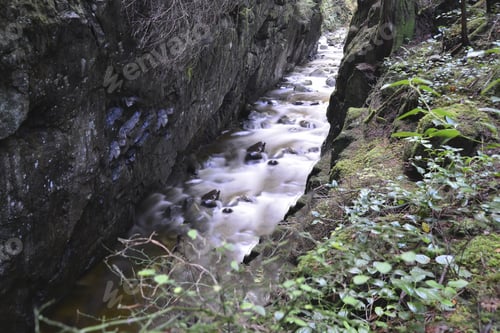 Preview: Lynn Creek View After Heavy Rain.Vancouver 2