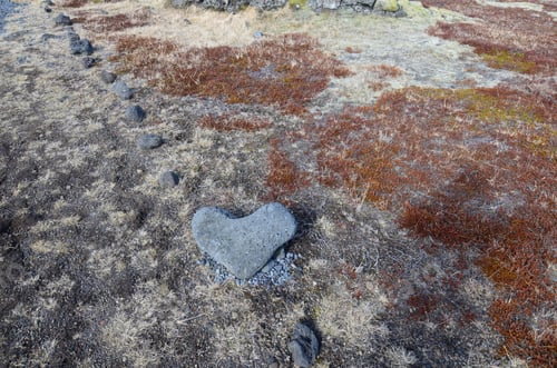 Preview: Heart Shaped Lava Rock On The Ground In Iceland.