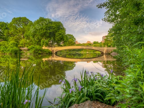 Preview: Central Park, Manhattan, New York City In Spring