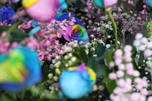 Preview: A Floral Bouquet Of Multicolor Roses With Pink Ginestra And Snowy Babys Breath 7658