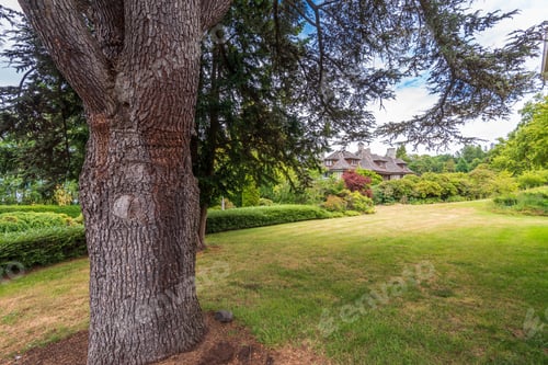 Preview: Houses In Suburb At Summer In The North America. Luxury Houses With Nice Landscape.
