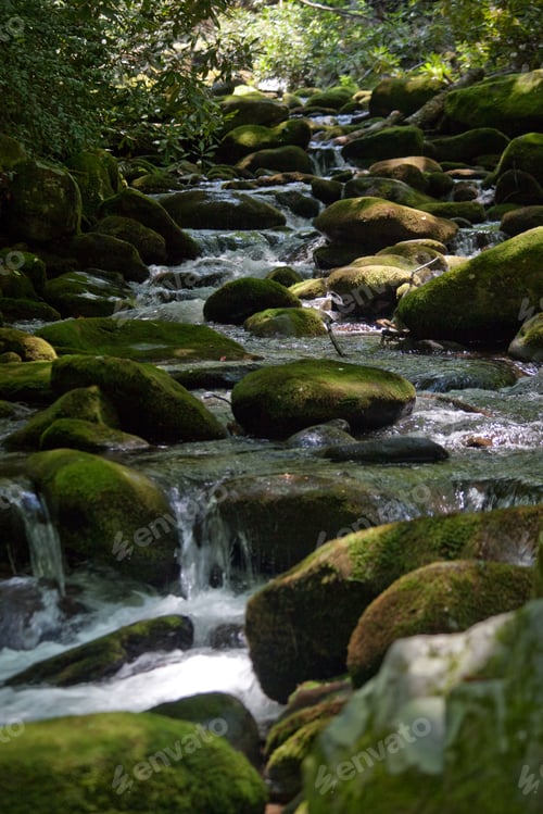 Preview: Clean And Cold Mountain Stream, Rushing By Moss Covered Rocks, A Tourist Paradise From The Great