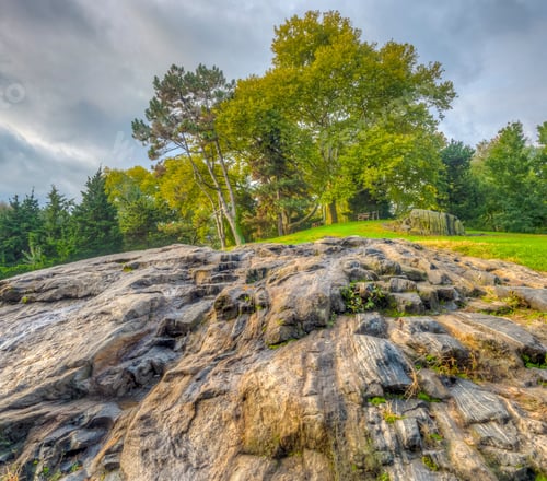 Preview: Central Park In Summer