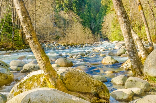 Preview: Beautiful Mountain River At The Riverside Park. North Vancouver, British Columbia, Canada.