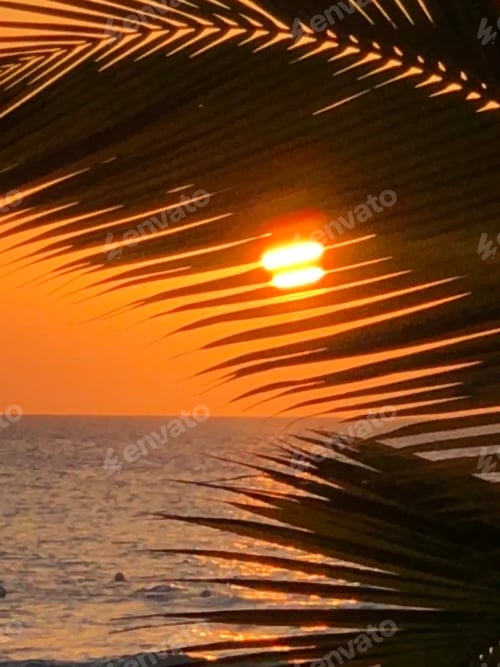 Preview: Sunset On The Beach Through Palm Leaves