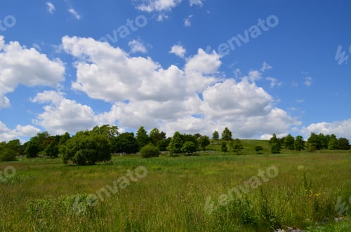 Preview: Gorgeous Lush Views Of Woods And Trees On Spectacle Island In Massachusetts.
